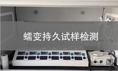 蠕变持久试样检测