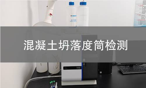 混凝土坍落度筒检测