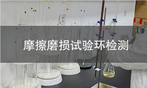 摩擦磨损试验环检测