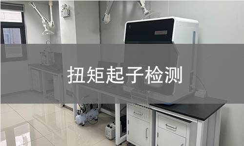 扭矩起子检测