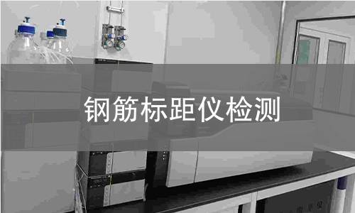 钢筋标距仪检测
