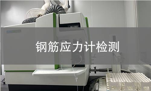 钢筋应力计检测