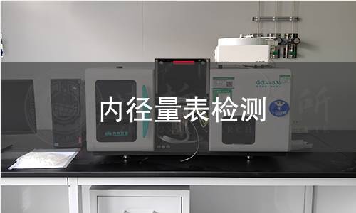 内径量表检测
