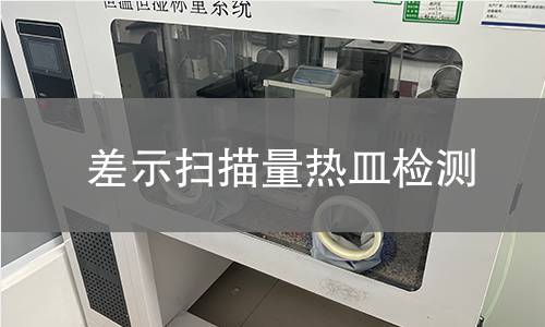 差示扫描量热皿检测