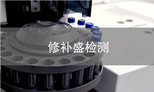 修补盛检测