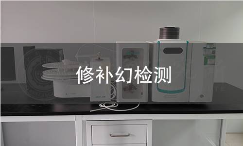 修补幻检测