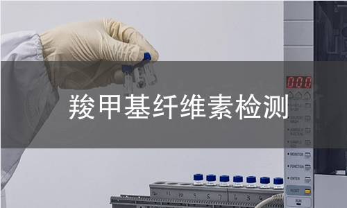 羧甲基纤维素检测