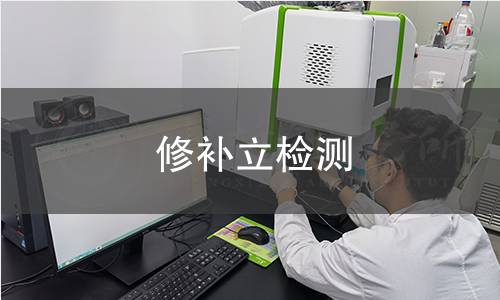 修补立检测