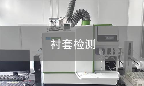 衬套检测