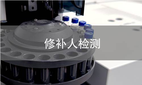 修补人检测