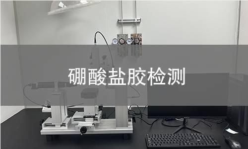 硼酸盐胶检测