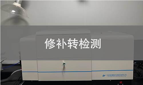 修补转检测