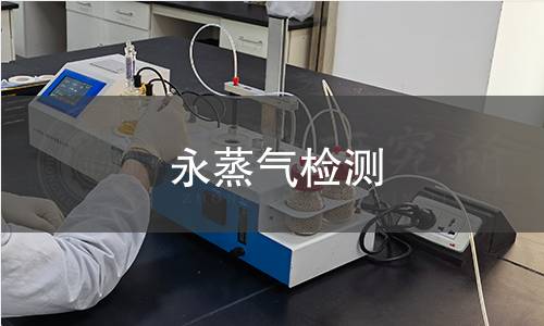 永蒸气检测