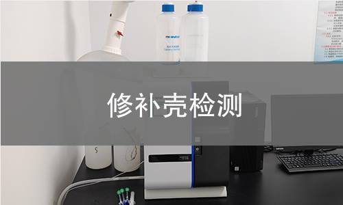 修补壳检测