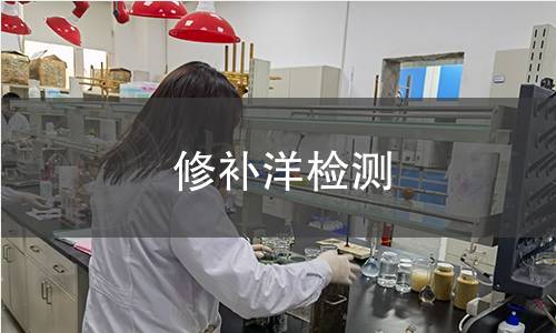 修补洋检测