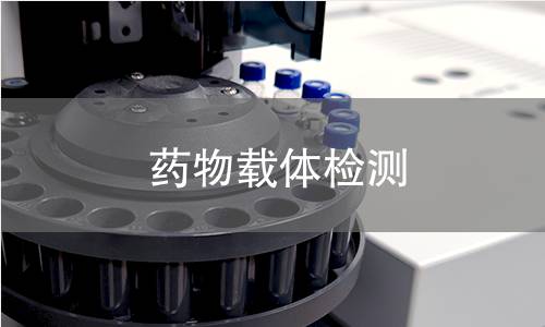 药物载体检测