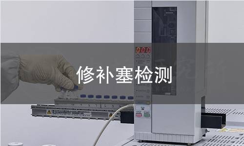 修补塞检测