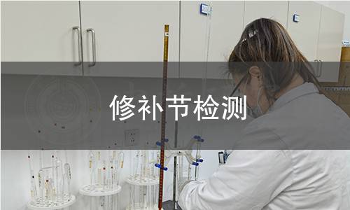 修补节检测