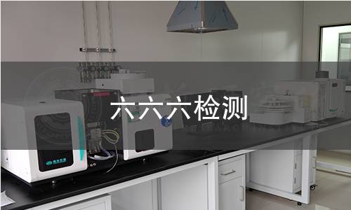 六六六检测