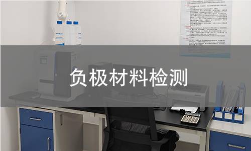 负极材料检测