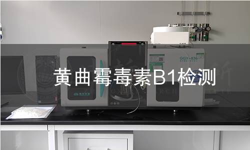 黄曲霉毒素B1检测