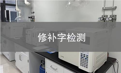 修补字检测