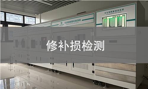 修补损检测