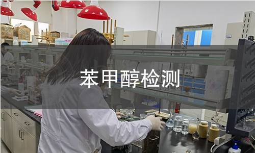 苯甲醇检测