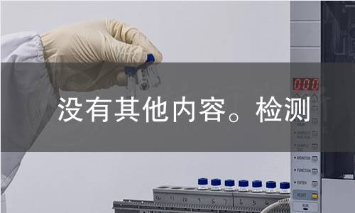 没有其他内容。检测