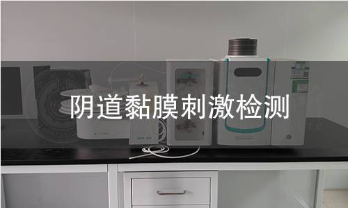 阴道黏膜刺激检测
