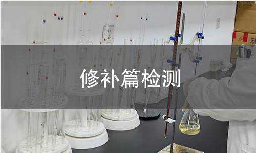 修补篇检测