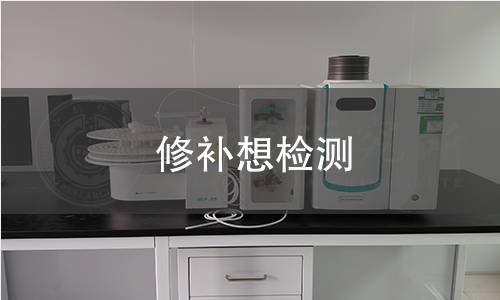 修补想检测