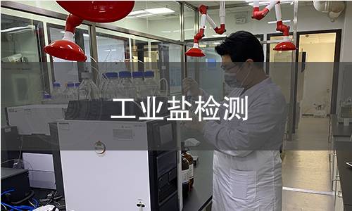 工业盐检测