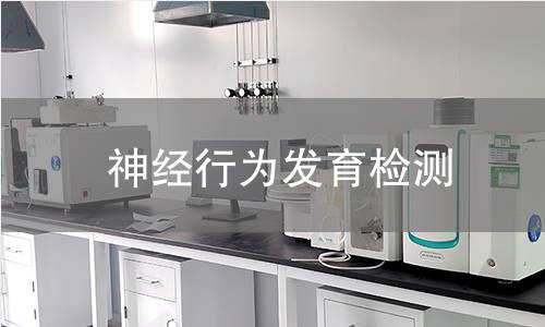 神经行为发育检测