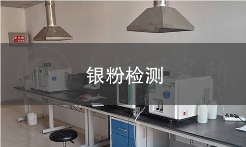银粉检测