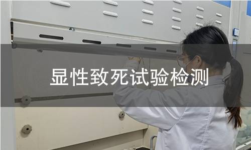 显性致死试验检测
