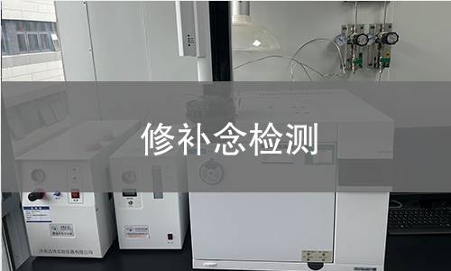 修补念检测
