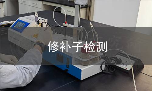 修补子检测