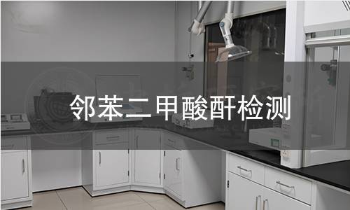 邻苯二甲酸酐检测