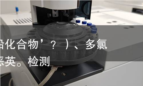 也许用‘铅化合物’？）、多氯联苯、二恶英。检测