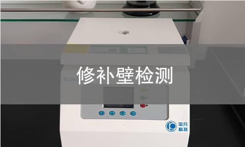 修补壁检测