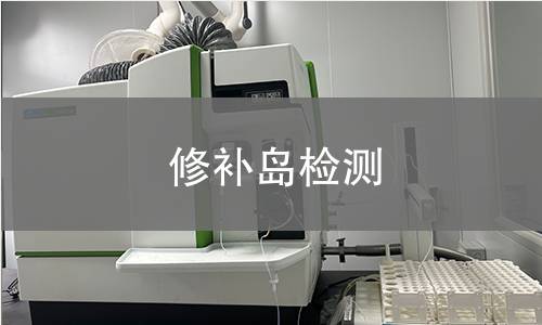 修补岛检测