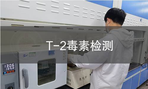 T-2毒素检测