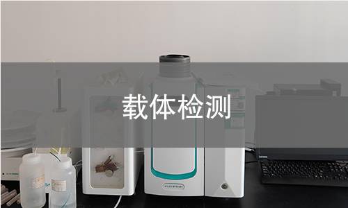 载体检测
