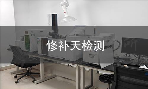 修补天检测
