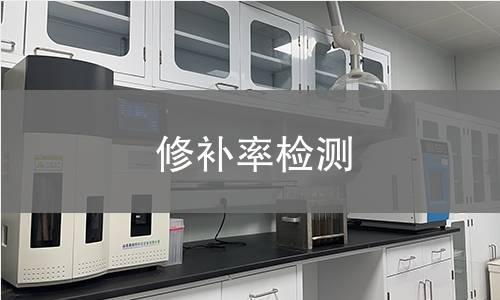 修补率检测