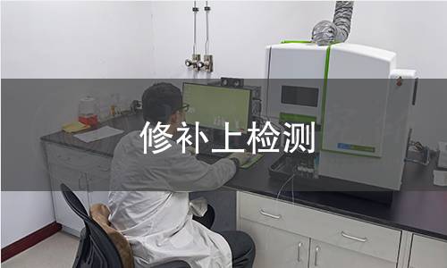 修补上检测