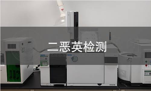 二恶英检测