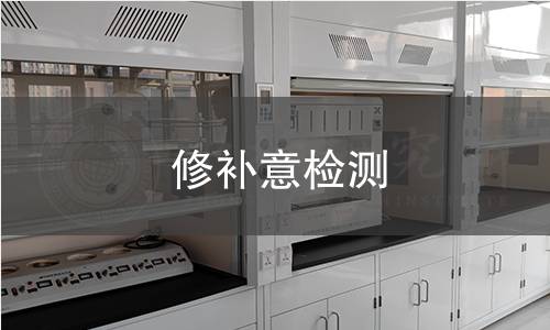 修补意检测