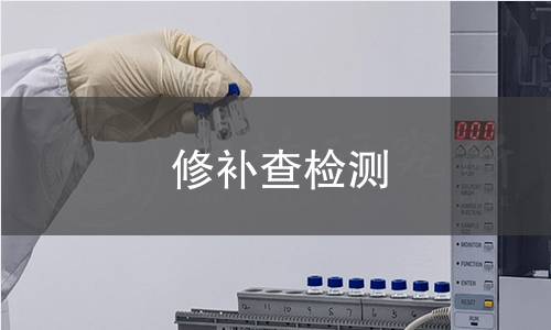 修补查检测